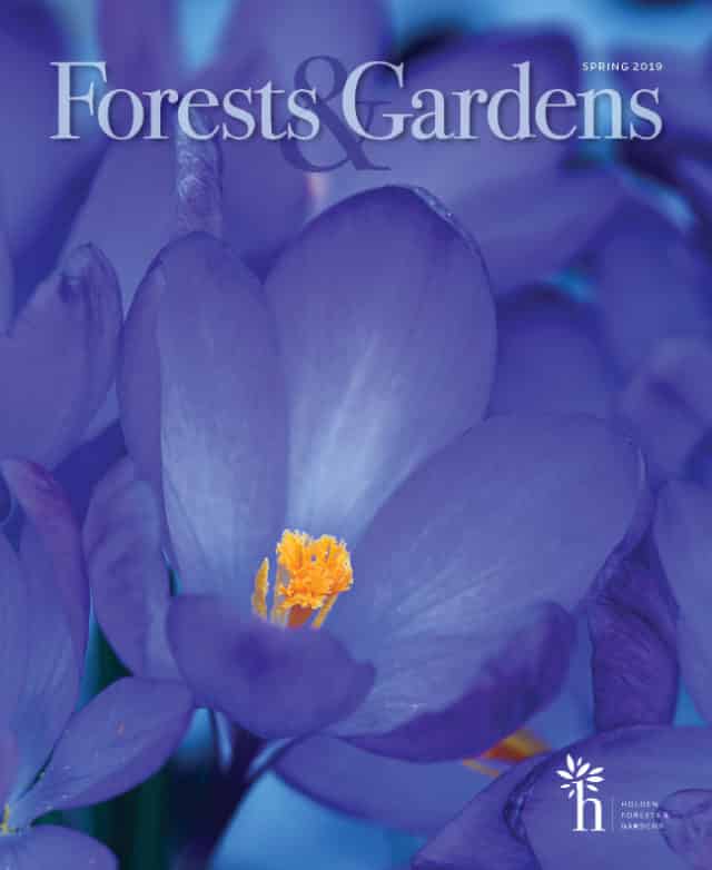 Spring 2019