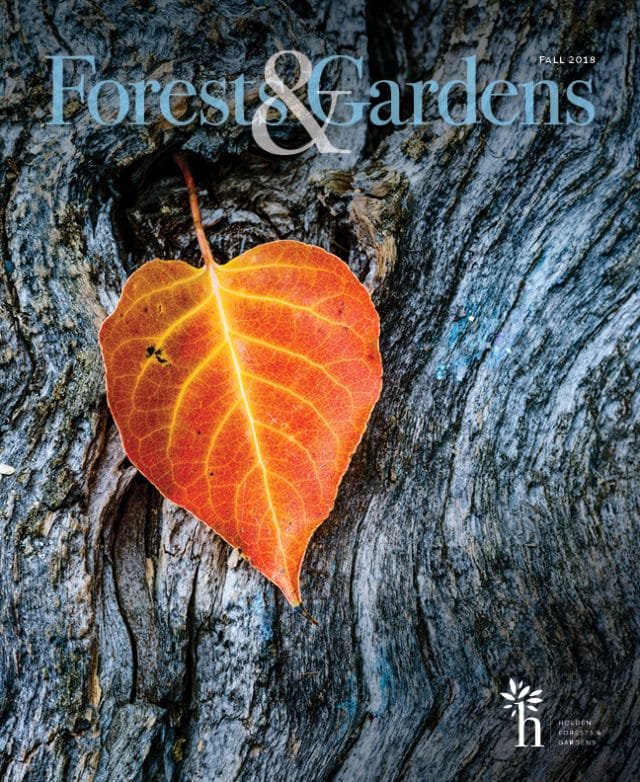 Fall 2018