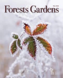 Winter 2018