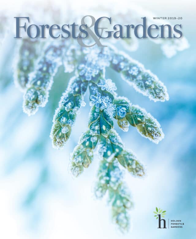 Winter 2019