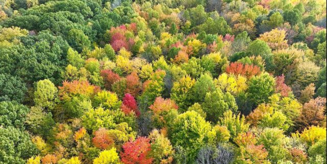 The ultimate fall destination